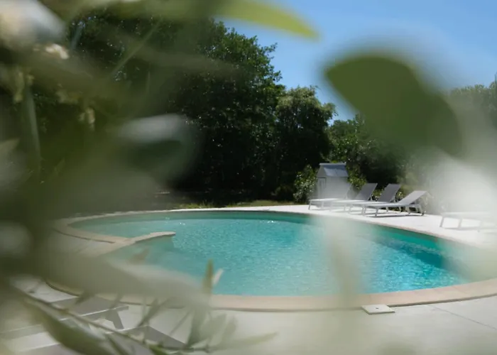 Rouleraventoux, Gite Sportif Avec Piscine, Sauna, Salle De Sport, Jardin